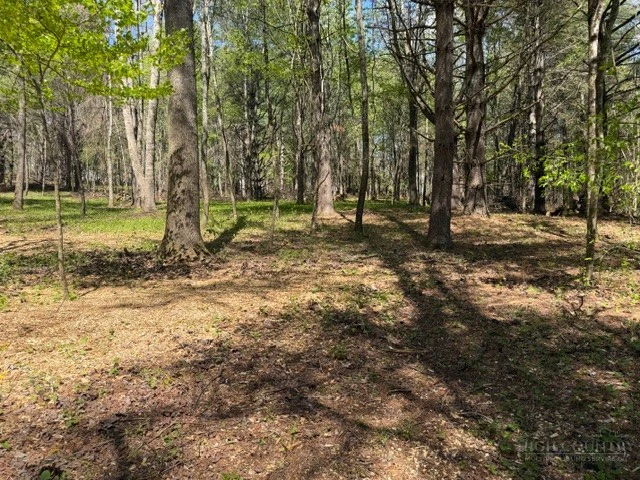 Image number 6 for the current listing