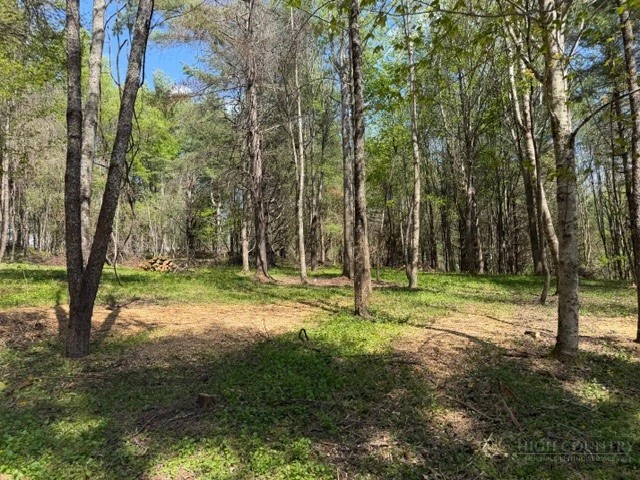 Image number 7 for the current listing
