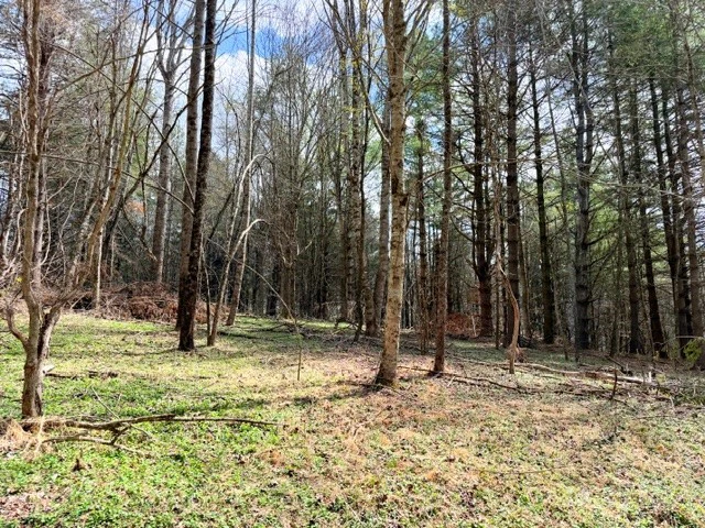 Image number 9 for the current listing