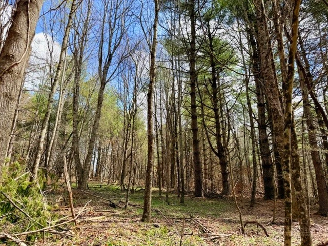 Image number 10 for the current listing