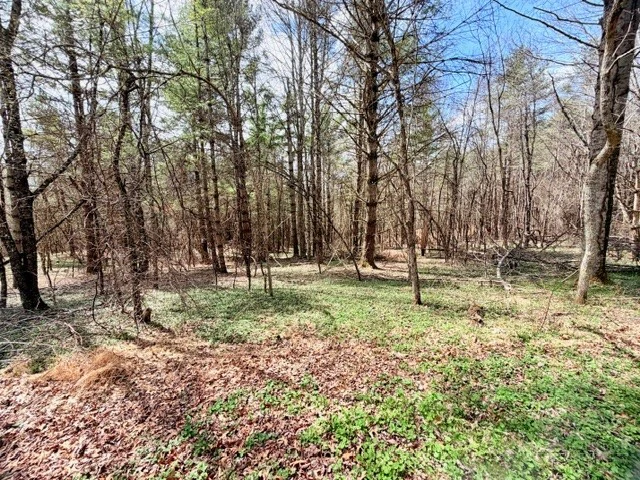 Image number 6 for the current listing
