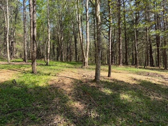 Image number 1 for the current listing