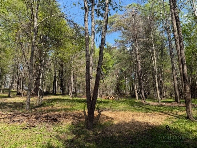 Image number 3 for the current listing