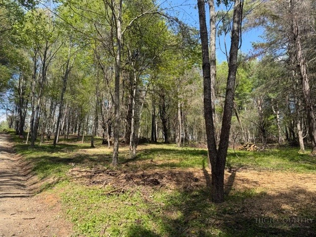 Image number 7 for the current listing
