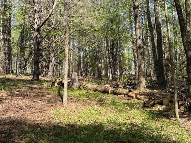 Image number 11 for the current listing