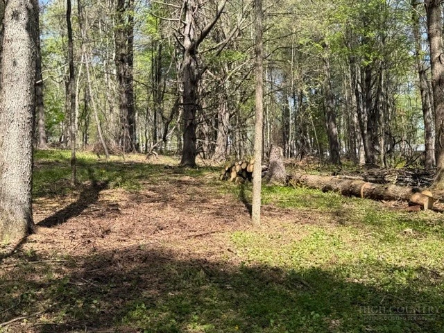 Image number 12 for the current listing