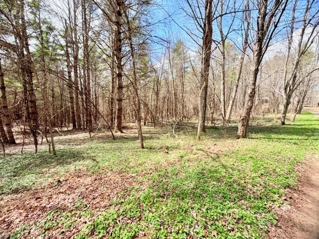Image number 13 for the current listing