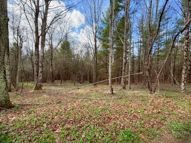 Image number 11 for the current listing