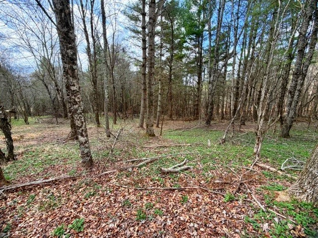 Image number 10 for the current listing