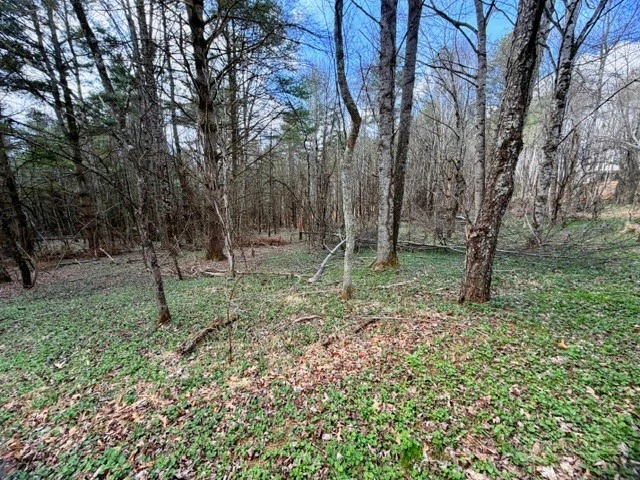 Image number 9 for the current listing