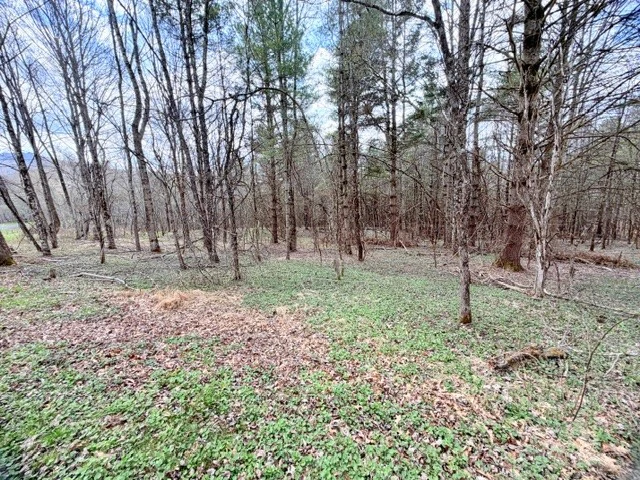 Image number 8 for the current listing