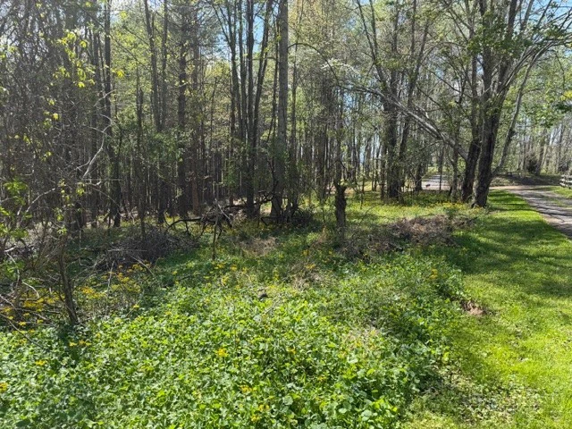 Image number 7 for the current listing
