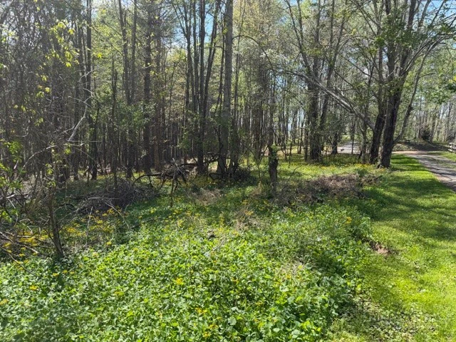 Image number 6 for the current listing