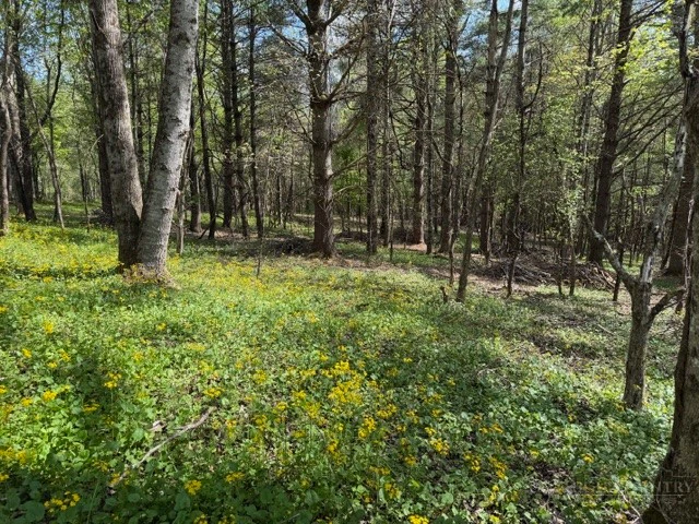 Image number 3 for the current listing