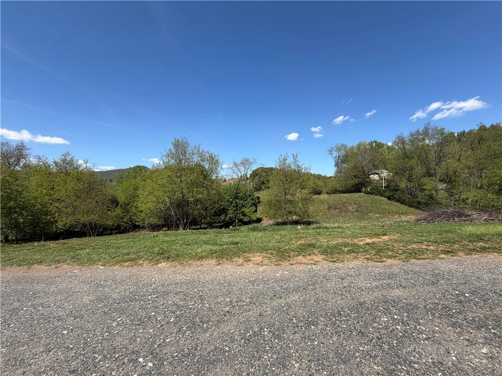 Image number 1 for the current listing