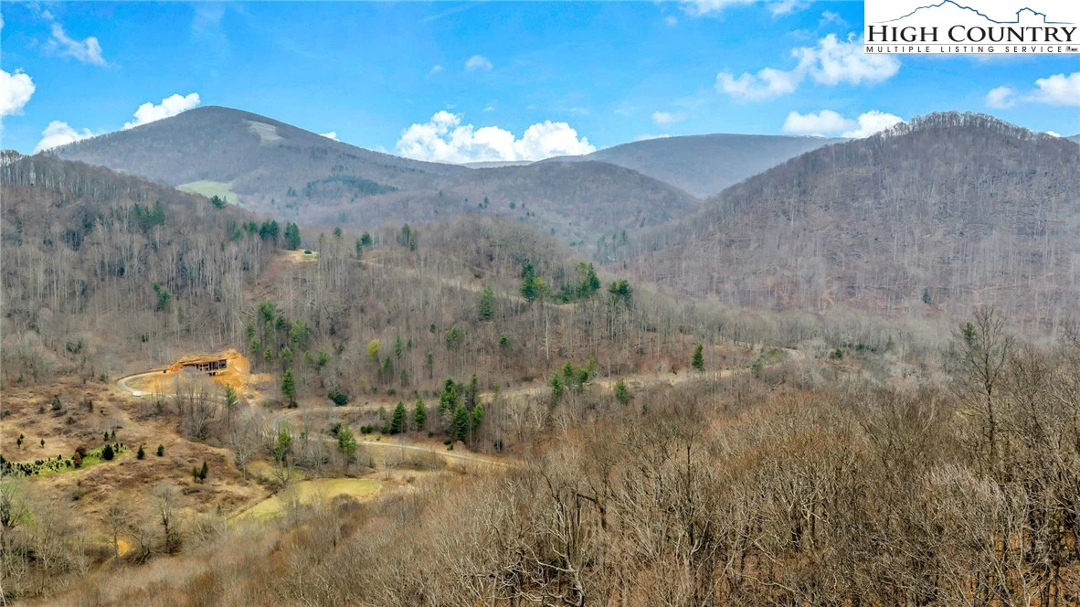 Image number 17 for the current listing