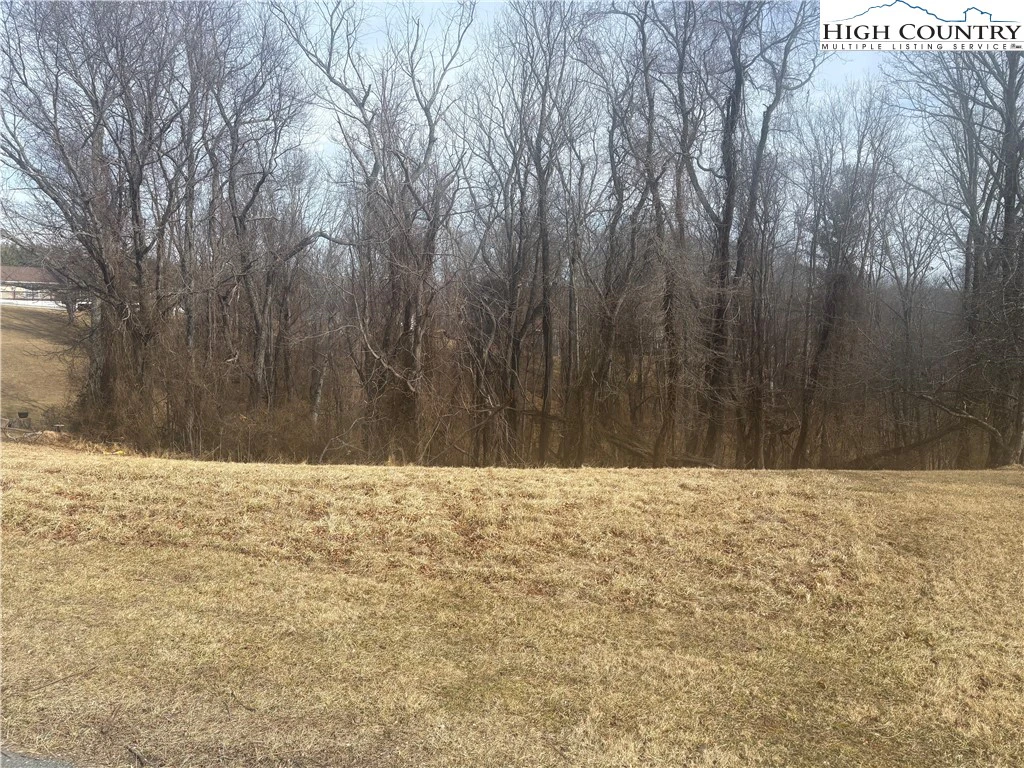 Image number 1 for the current listing