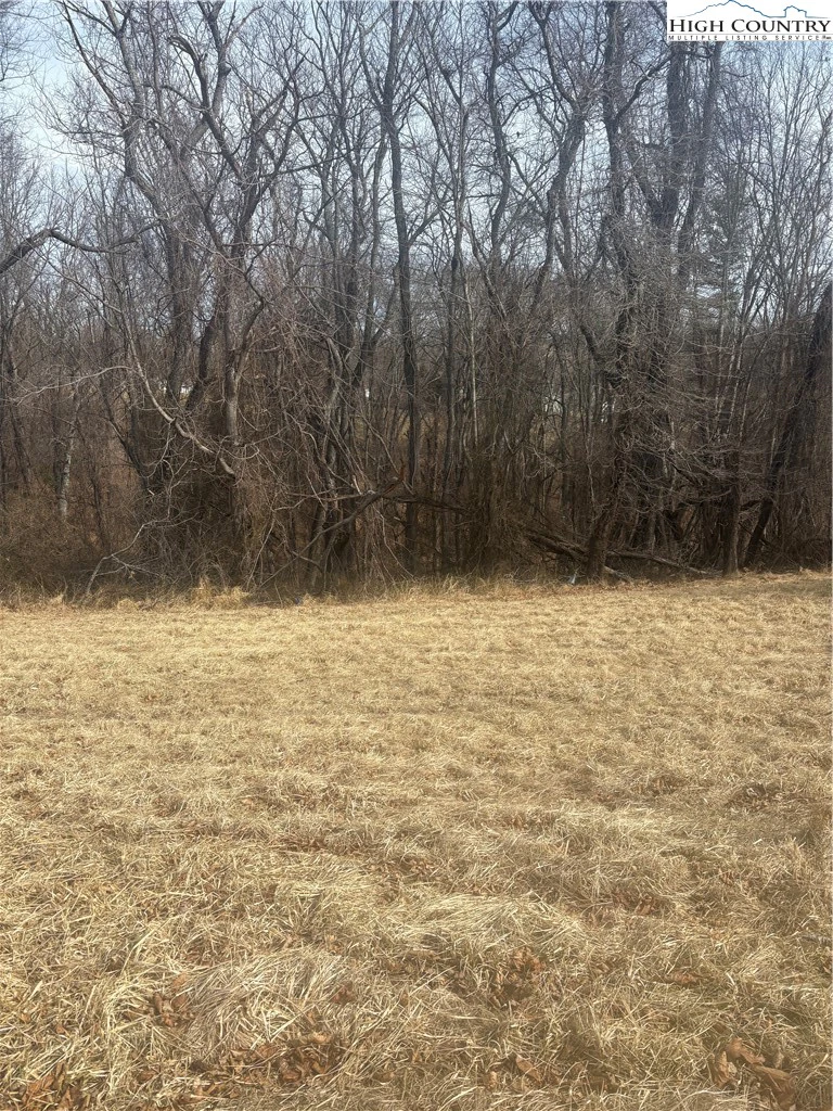 Image number 3 for the current listing