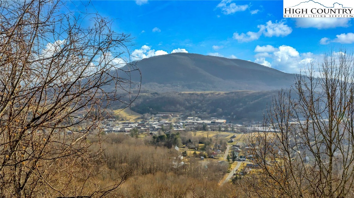 Image number 8 for the current listing