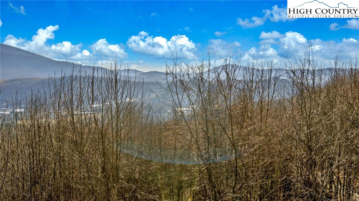 Image number 9 for the current listing
