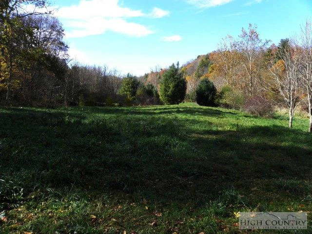 Image number 11 for the current listing