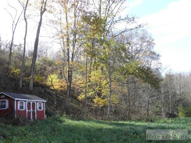 Image number 3 for the current listing