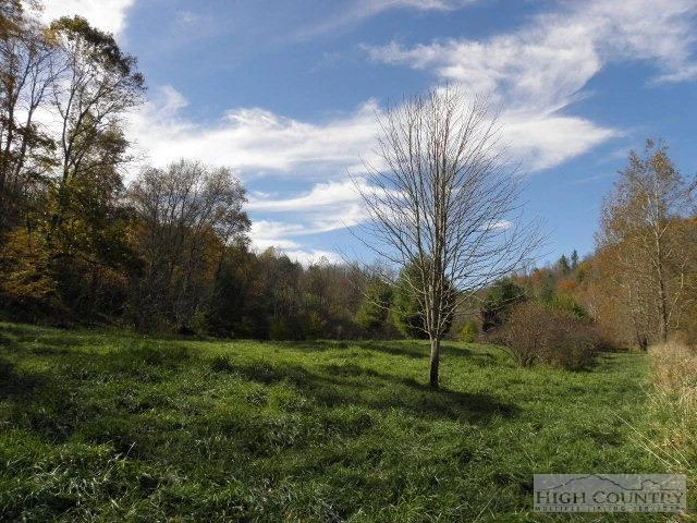 Image number 6 for the current listing