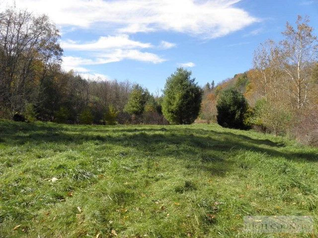 Image number 7 for the current listing