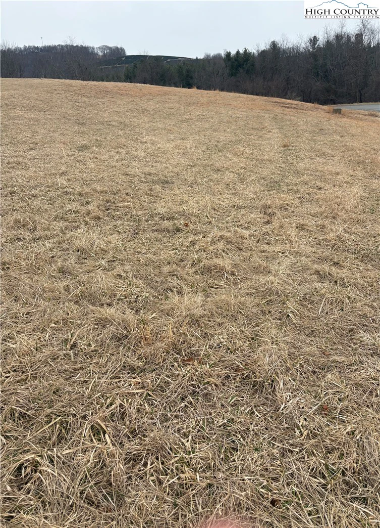 Image number 1 for the current listing