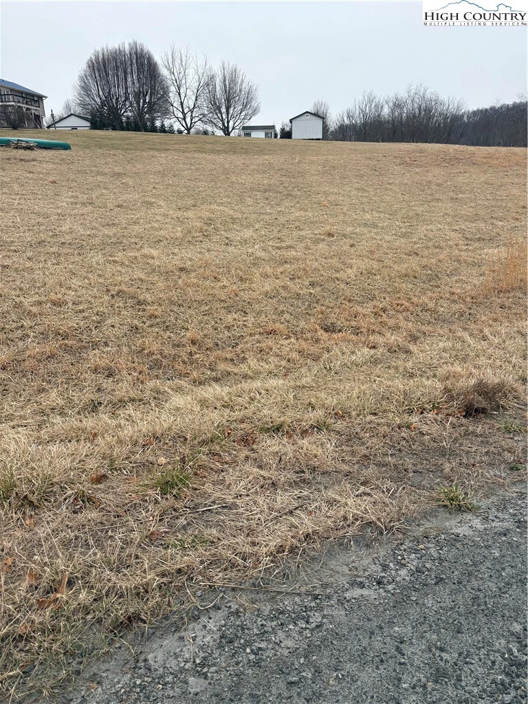 Image number 3 for the current listing