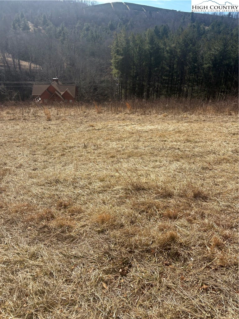 Image number 3 for the current listing