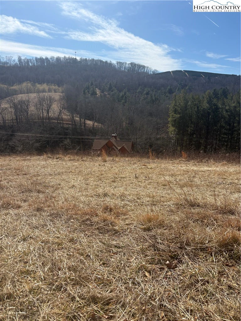 Image number 4 for the current listing