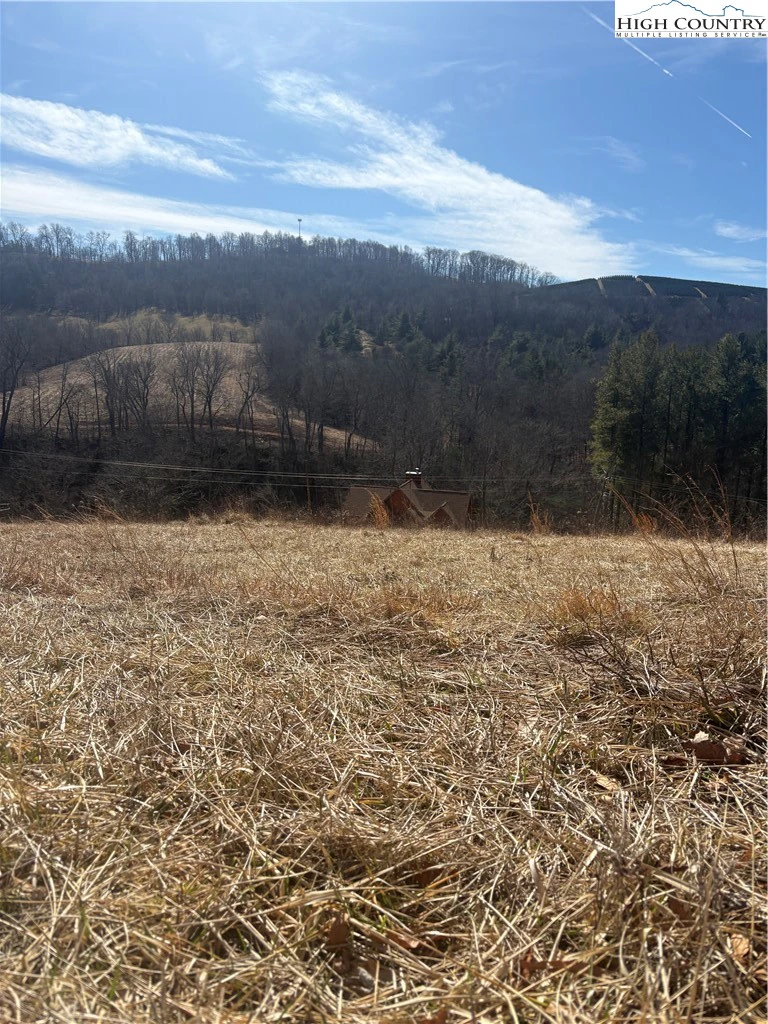 Image number 1 for the current listing