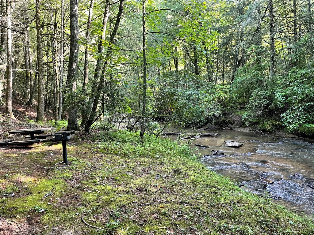 Image number 1 for the current listing