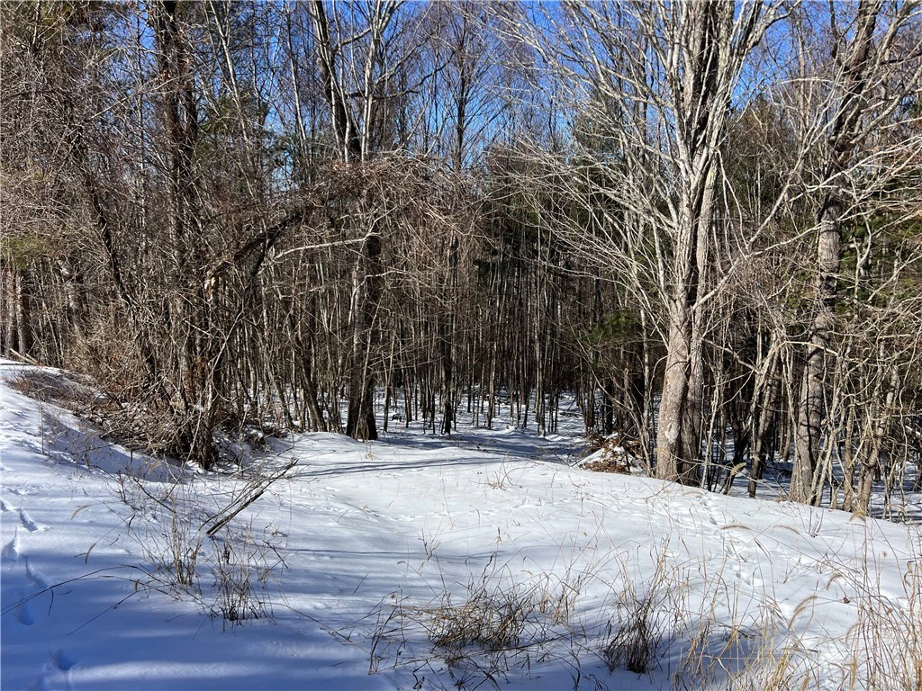Image number 20 for the current listing