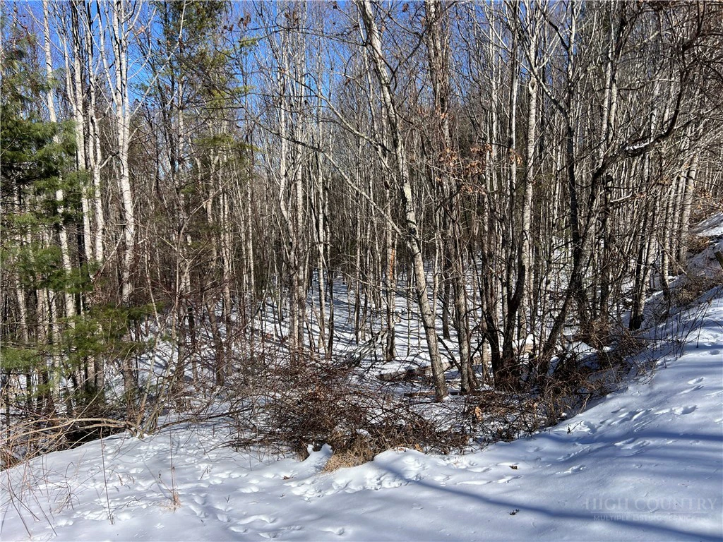Image number 18 for the current listing