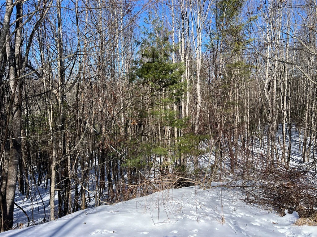 Image number 12 for the current listing