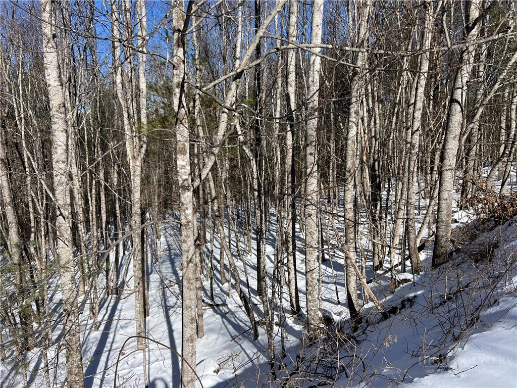 Image number 8 for the current listing