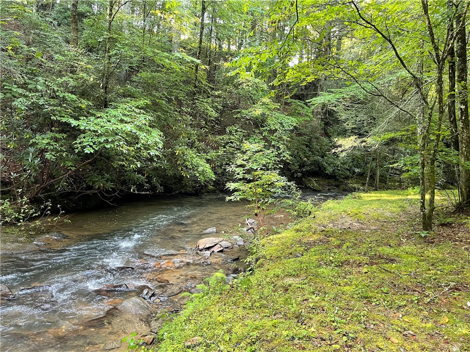 Image number 6 for the current listing