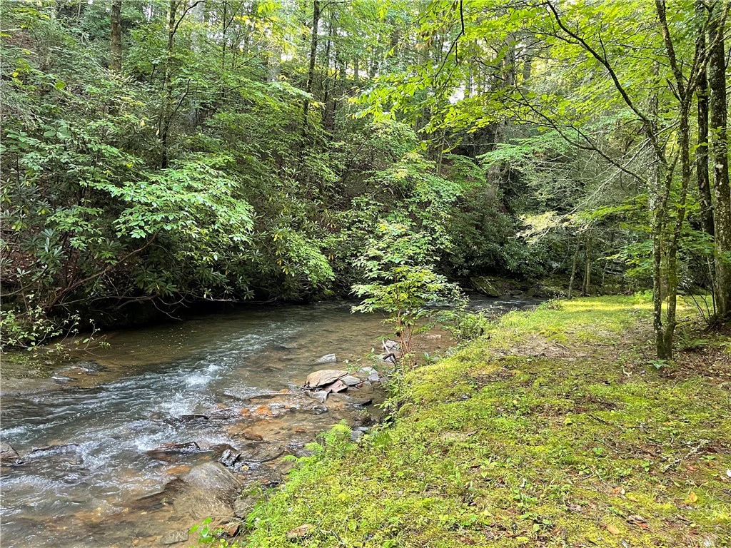 Image number 6 for the current listing
