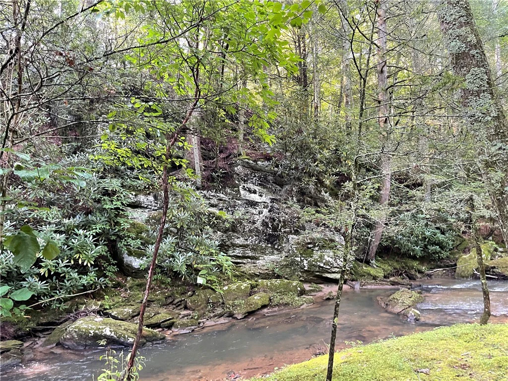 Image number 5 for the current listing