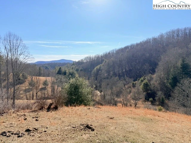 Image number 1 for the current listing