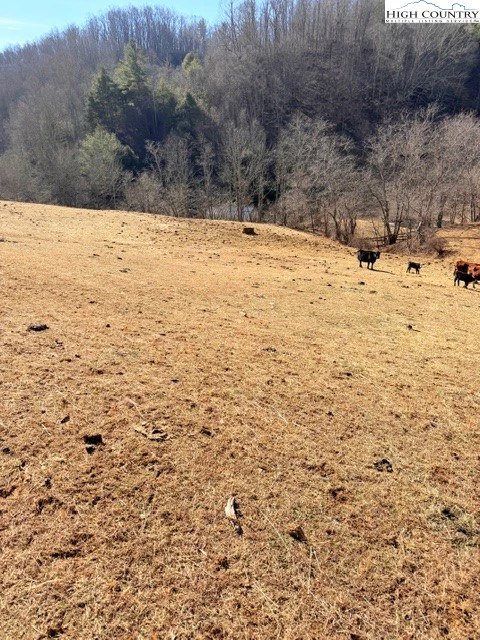 Image number 29 for the current listing