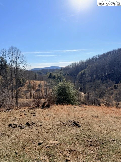 Image number 3 for the current listing