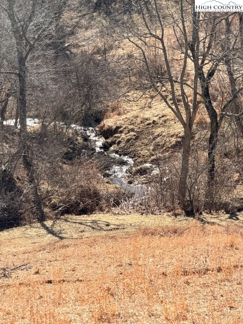 Image number 7 for the current listing