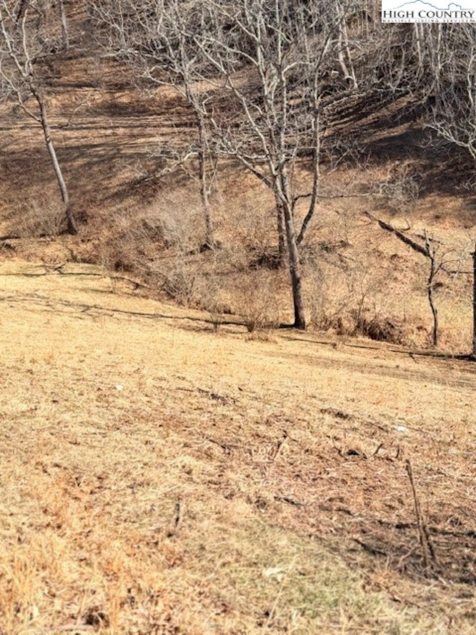 Image number 9 for the current listing