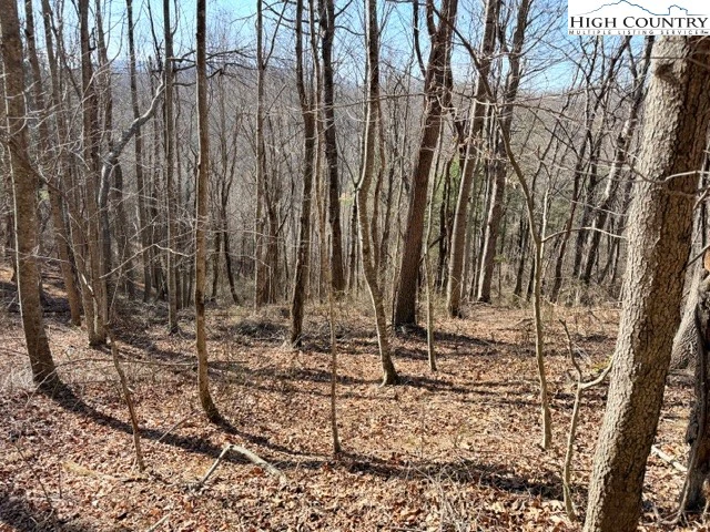 Image number 17 for the current listing