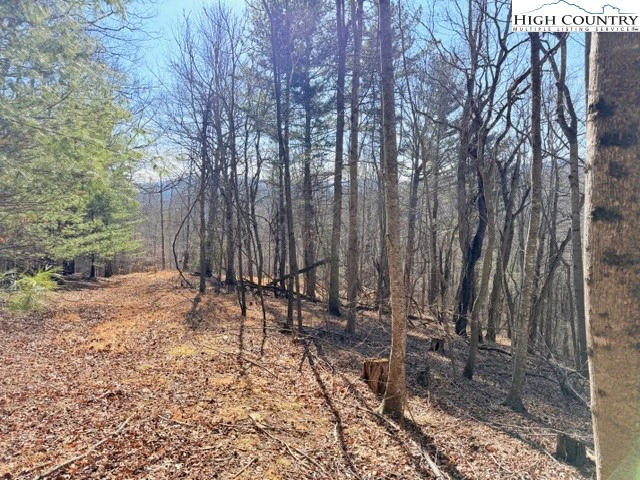 Image number 18 for the current listing