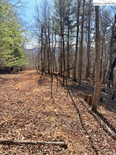 Image number 19 for the current listing