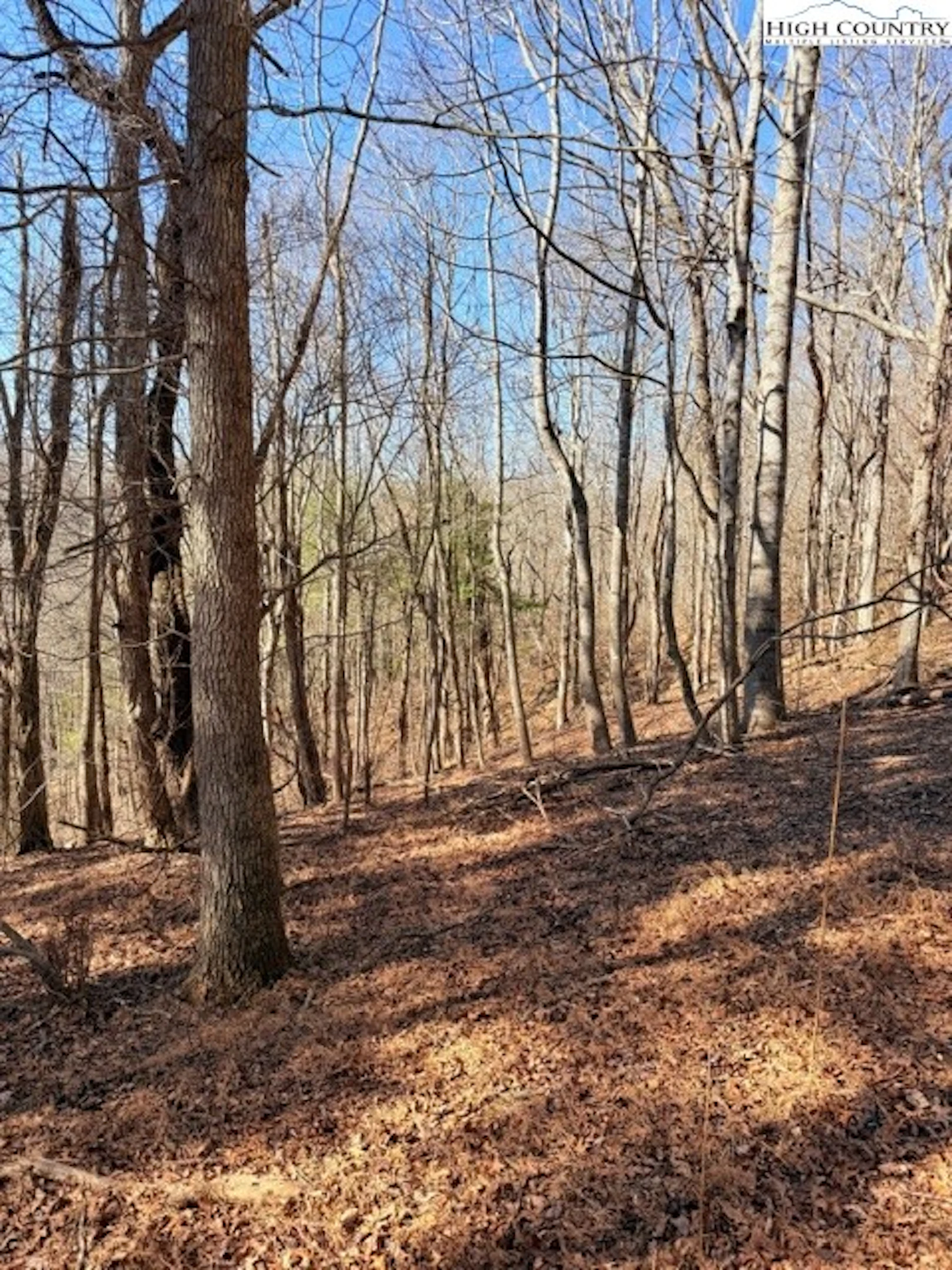 Image number 20 for the current listing